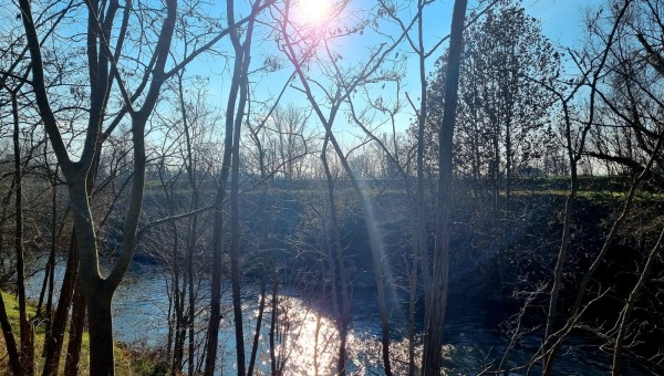 RIFLESSIONI SULLE RELAZIONI LUNGO IL FIUME